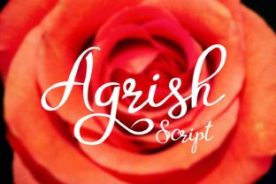 Agrish and the Power of Purposeful Design