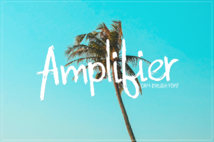 Amplifier: Your Practical Guide to Better Sound