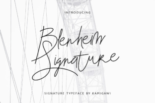Assessing the Blenheim Signature: What You Need to Know Before Deciding