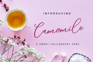 Camomile Script: The Organic Typeface Reshaping Digital Design and Brand Storytelling