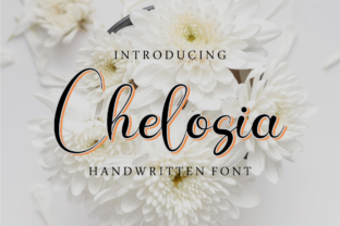 Chelosia: A Display Font with Character and Purpose