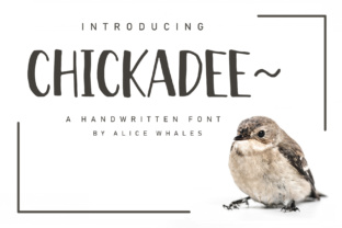 Chickadee: Smarter Tools for Creative Professionals