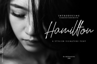 Hamillton: A Practical Framework for Creative Professionals
