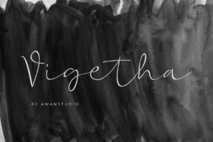 How Vigetha Fits Into Real Projects and Daily Workflows