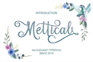Mettical: A Practical Evaluation of a Measurement-Focused Platform for Professionals and Creators
