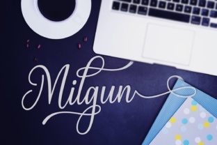 Milgun: A Practical Framework for Smarter Planning and Execution