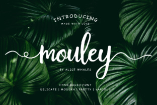 Mouley: Integrating Process, Planning, and Practical Execution