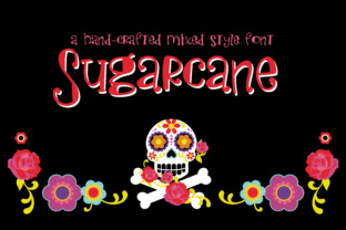 Natural and Versatile: Understanding Sugarcane and Its Place in Your Choices