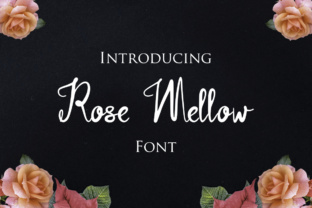 Rose Mellow: Redefining Calm in Creative and Professional Spaces