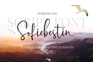 Sofiebestin Script: A Practical Guide to Understanding Its Role in Modern Digital Workflows