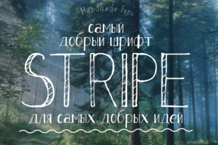 Stripe: A Practical Guide to Getting the Most Out of Payment Processing