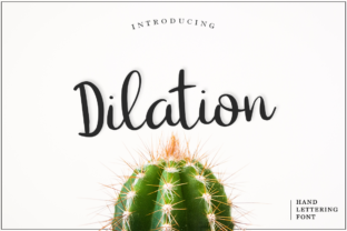 What Is Dilation and How It Affects You